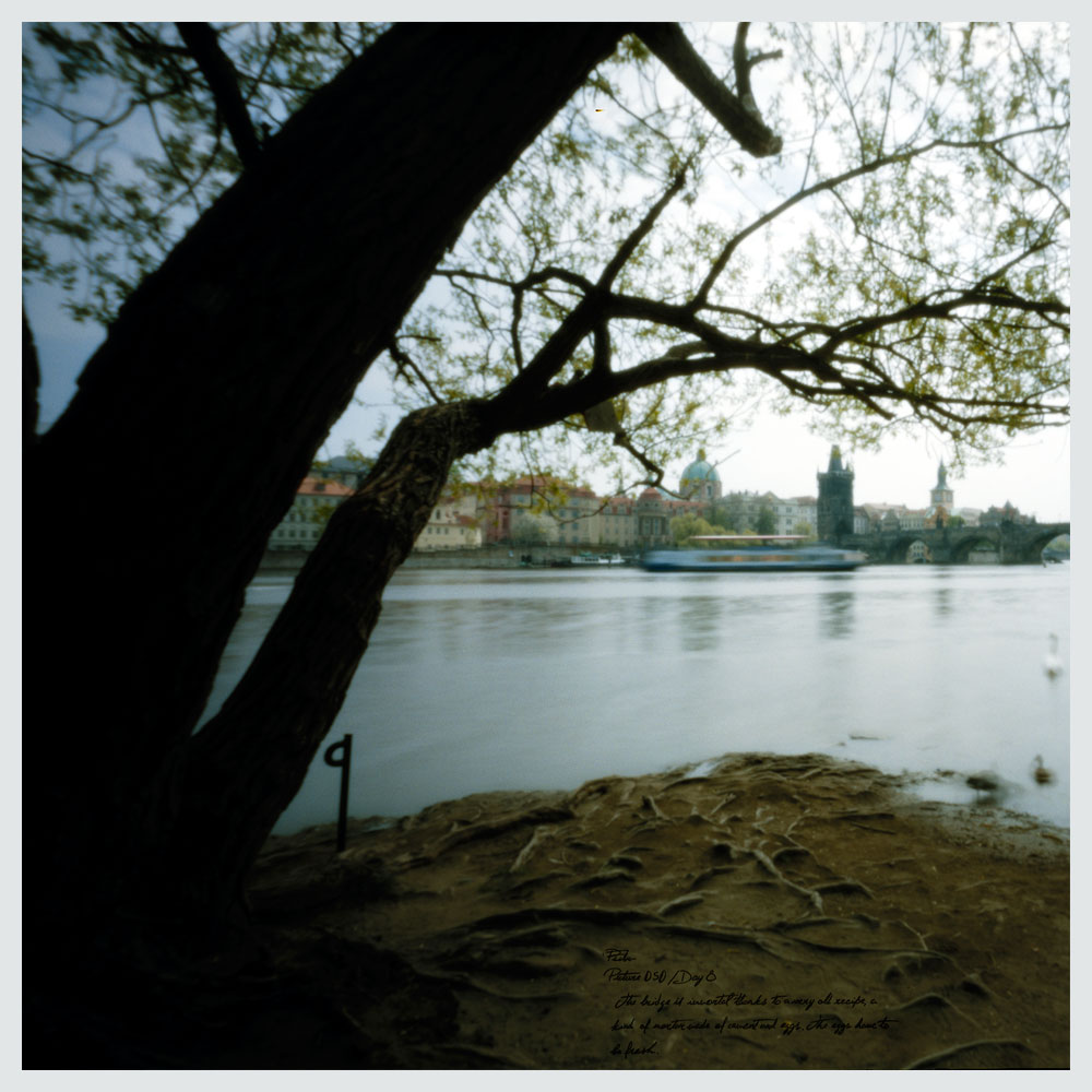 Vltava River Bank