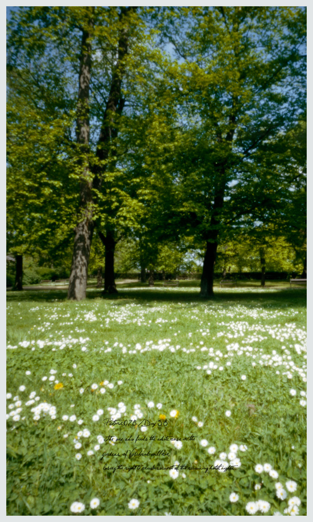 A photograph of Vysehrad Vysehrad